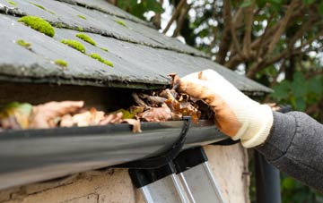 gutter cleaning March