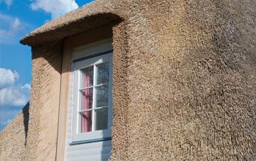 March thatch roof disadvantages